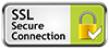 Secure connection logo